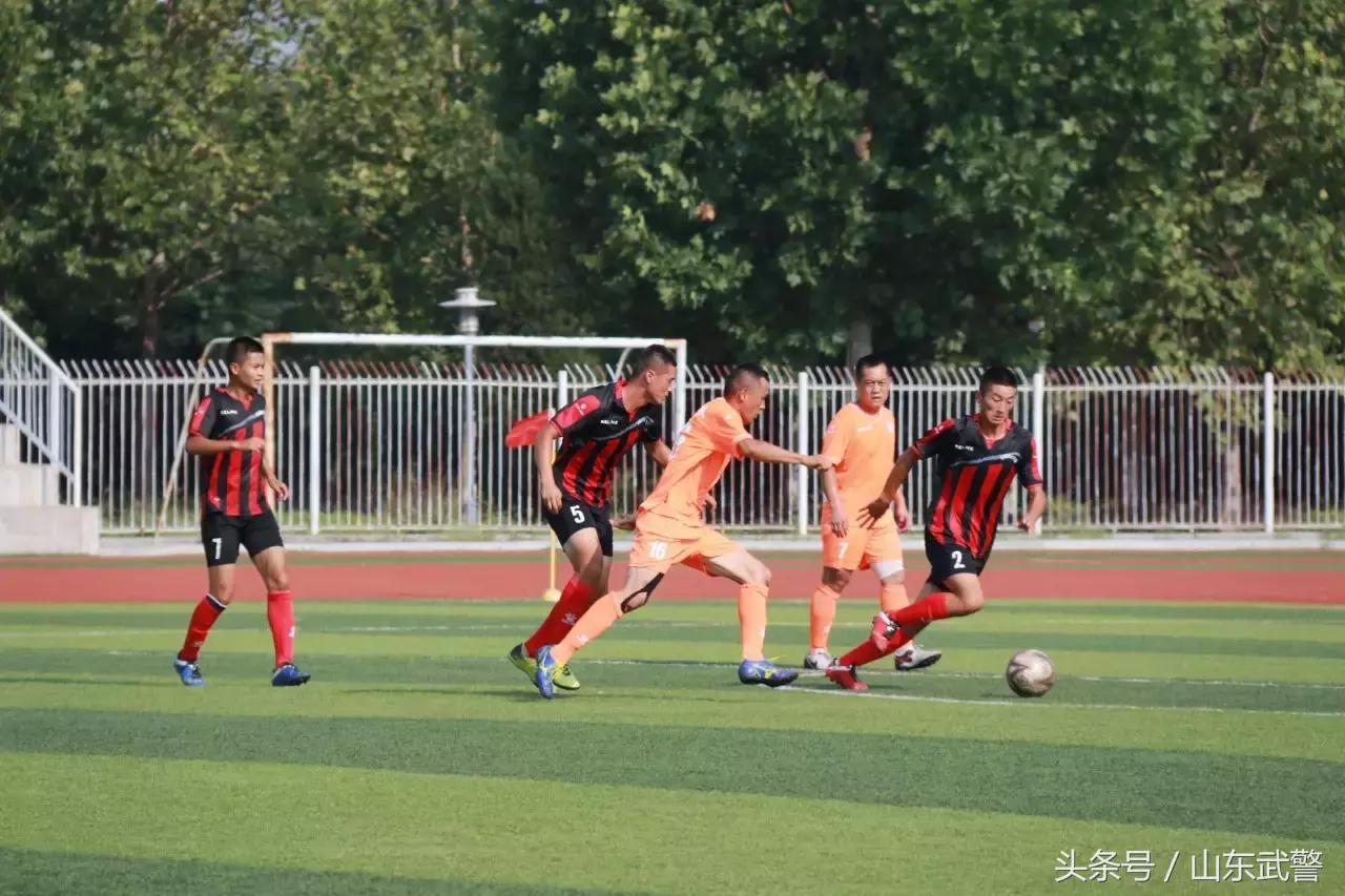 卫士动力视频,卫士动力杯