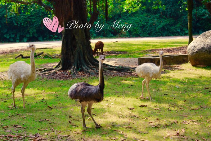 广州长隆水上乐园亲子游攻略视频,珠海长隆海洋快速通道亲子游攻略