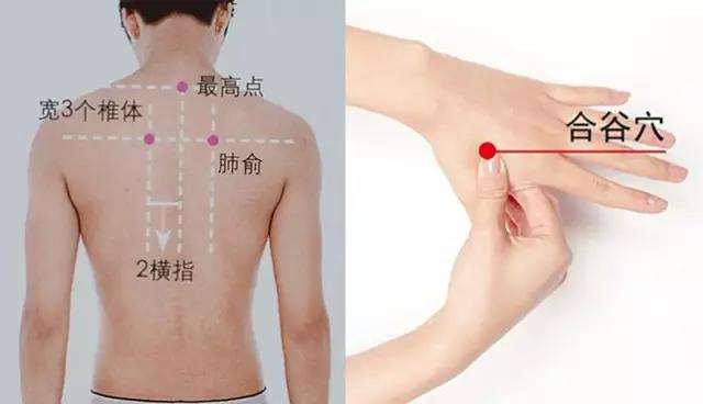 朗朗上口的穴位歌,常用穴位歌