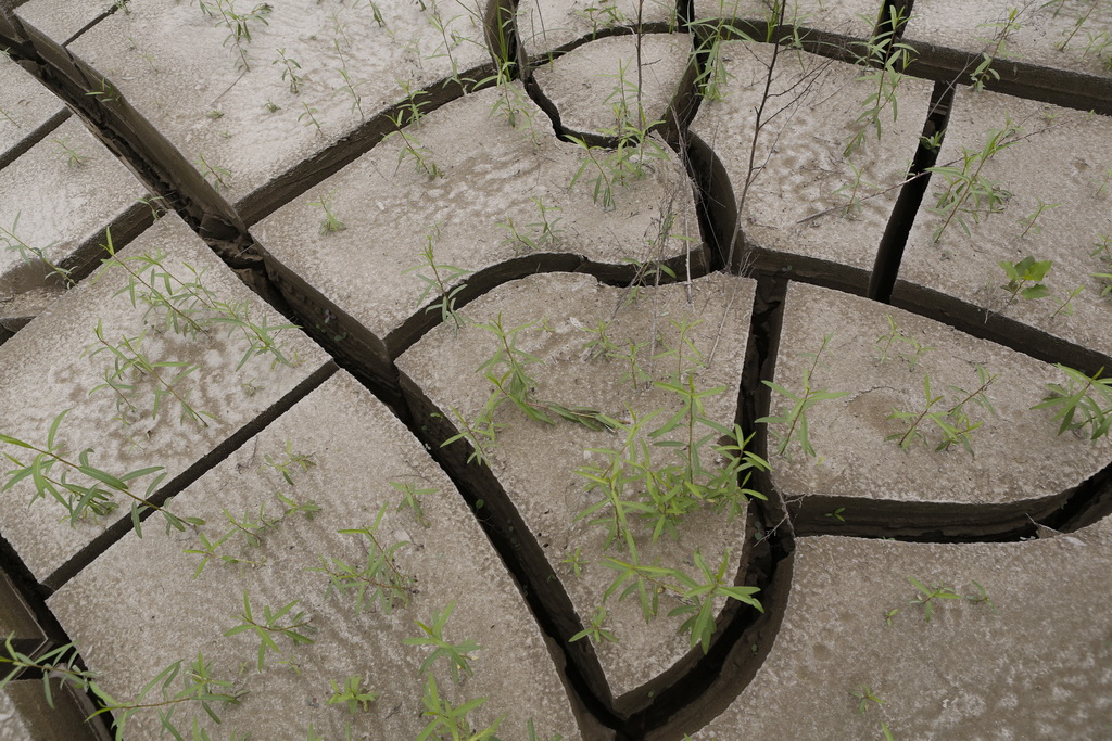 大武汉系列之武汉冶炼厂,大武汉系列之武汉印染厂