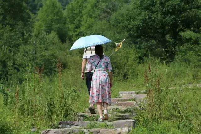 山西历山舜王坪大草原攻略,看云海高山草甸的地方