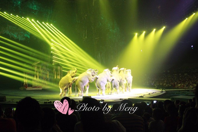 广州长隆水上乐园亲子游攻略视频,珠海长隆海洋快速通道亲子游攻略