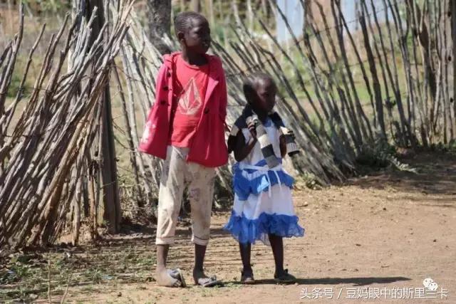 风动？树动？心动！致你，Kenya