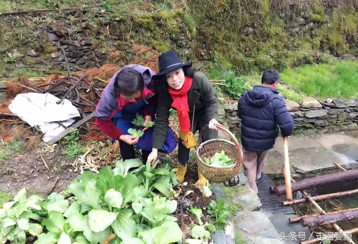 婺源第一名,婺源茶叶第一名