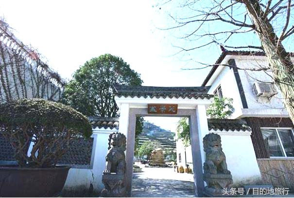 绿荫中的古村落,绿荫村庄图片