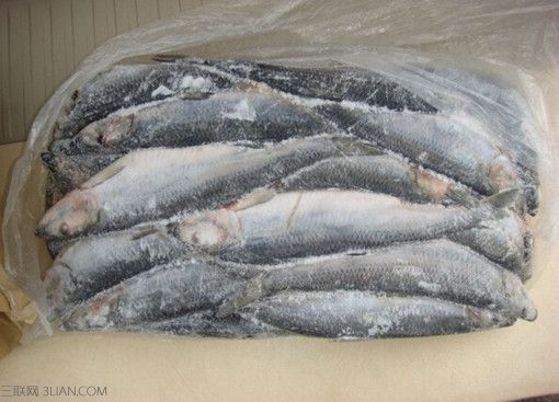 秋老虎来了，冰箱的鱼肉发出恶臭味怎么办？