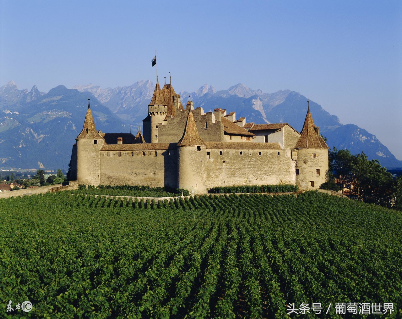 智利干露酒庄,昆明干露酒庄