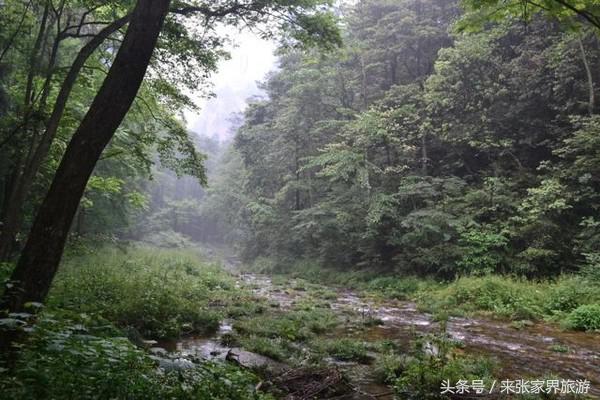 上海到张家界五日游攻略,找一下去张家界天门山的线路