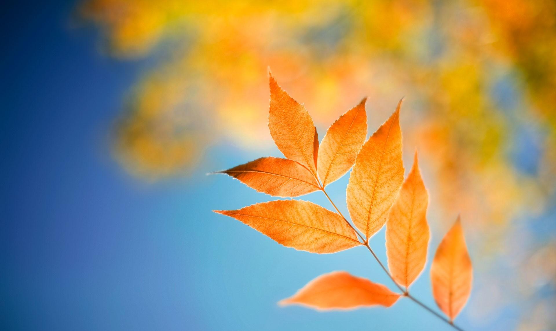 《火星情报局》汪涵薛之谦等，不一样的努力，造就的完美团队！