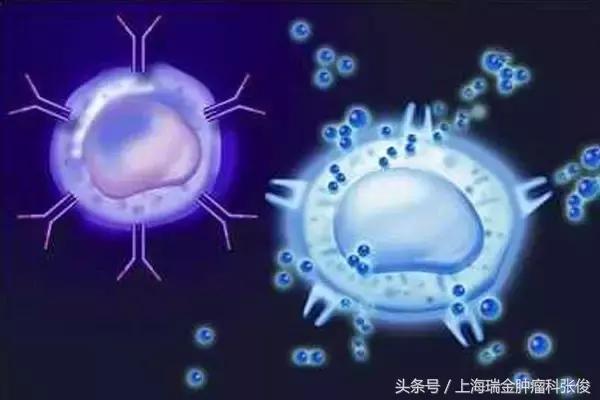 治疗癌细胞最新疗法,有效杀灭癌细胞的方法