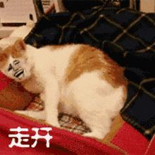 举报别人侵犯公民个人信息罪,公民个人信息被侵犯怎么起诉