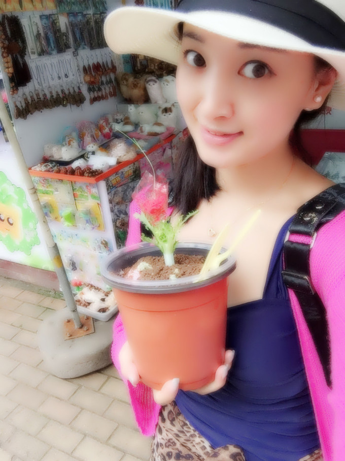 紫塞农家院住宿攻略,天津最好的紫塞农家院