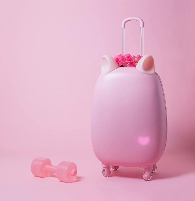 不要说我孤独,我还有猫