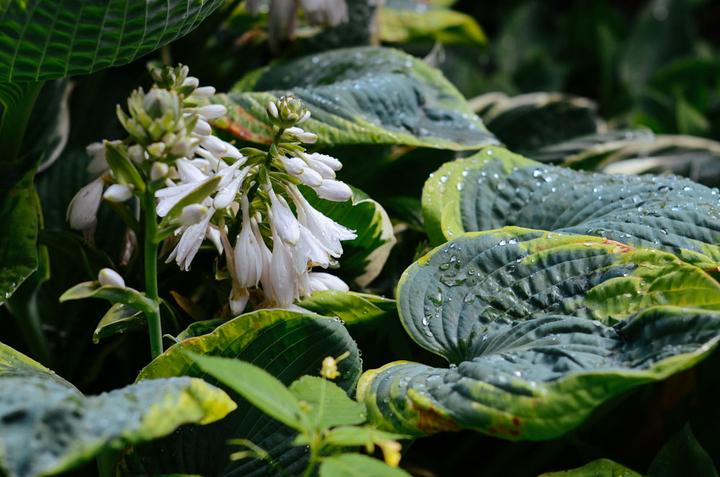 感受战斗民族的霸气,感受战斗民族的热情