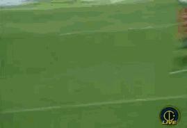 伊布11年,2011年伊布夺冠视频