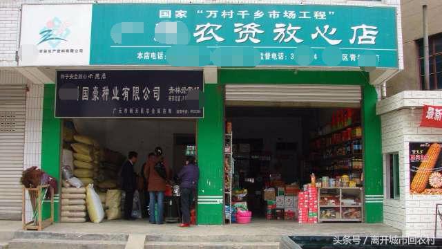 大学生回农村创业有什么政策,大学生回农村创业有哪些好项目