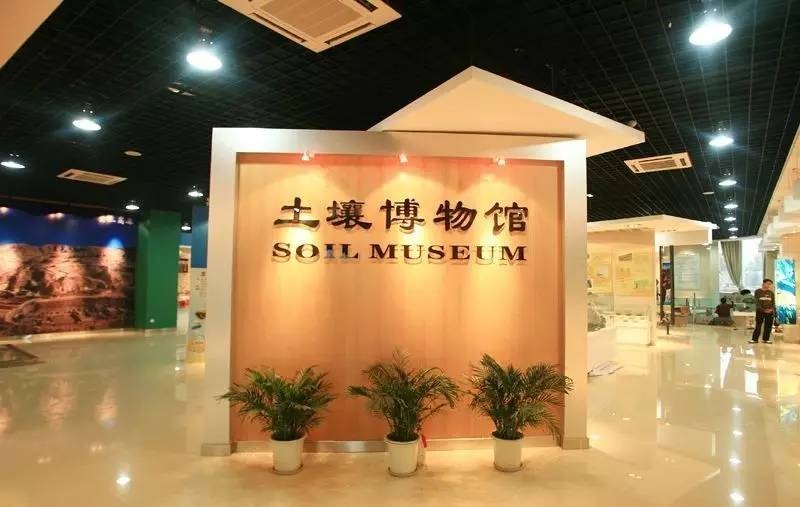 全国唯一的国家级大学博物馆,全国第一家高校博物馆