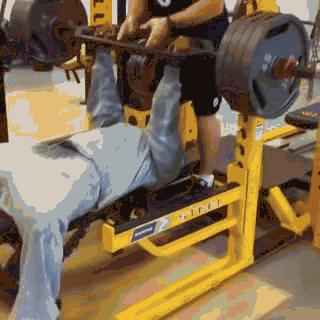 NFL训练分析之詹姆斯哈里森——上肢动作篇大汇总