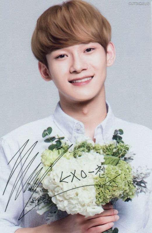 exo十二月的奇迹韩文版,exo十二位成员照片