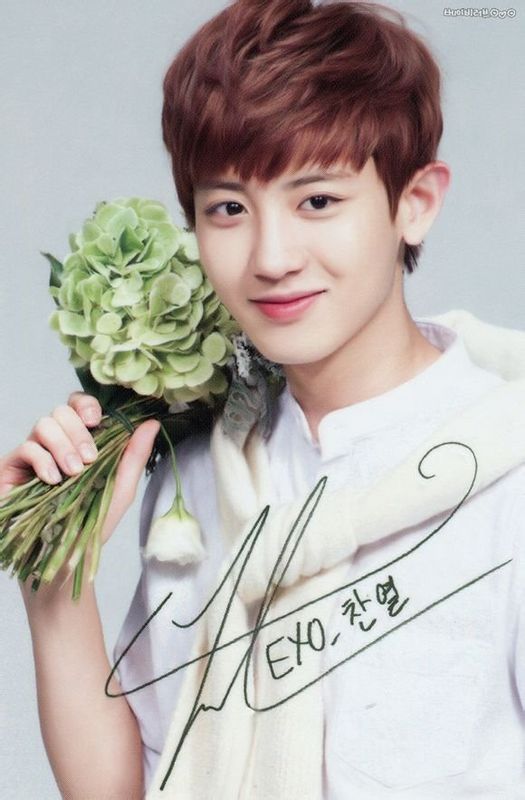 exo十二人嗨翻全场,exo十二人背后数字