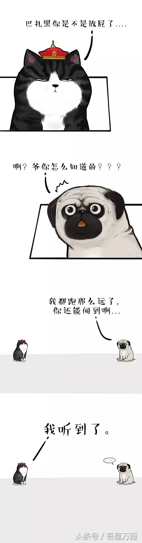 吾皇猫到底是个什么,吾皇猫现实叫什么