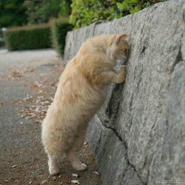 在常州月薪5000,在常州月入过万的工作有哪些