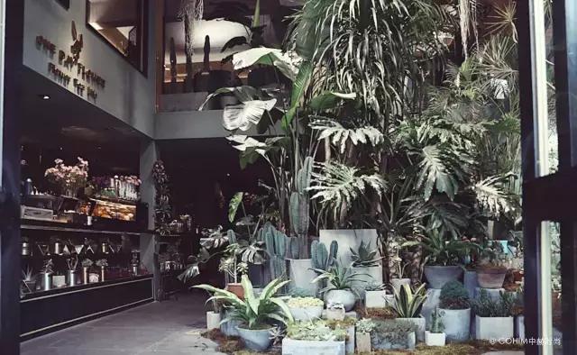 从清华休学创业27岁做到年销7亿,15岁退学的他年近50再创业