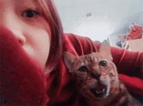 他性无能你是怎么知道的