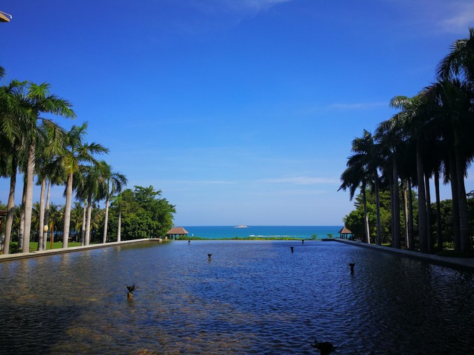 带着老妈和宝贝游三亚（两家铂尔曼和亚龙湾红树林度假之旅）