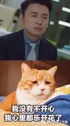 前夫雷佳音佟丽娅结婚？《楚乔传》请你唱K！