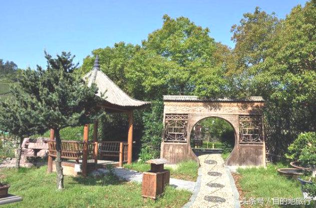 绿荫中的古村落,绿荫村庄图片