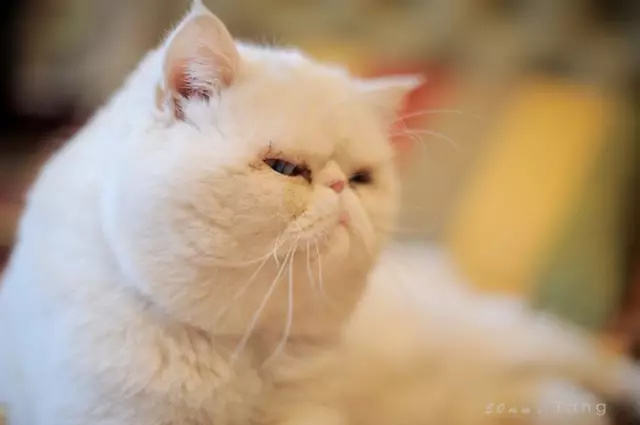 谈恋爱女人吃醋了怎么办,如何让女人吃醋主动找你