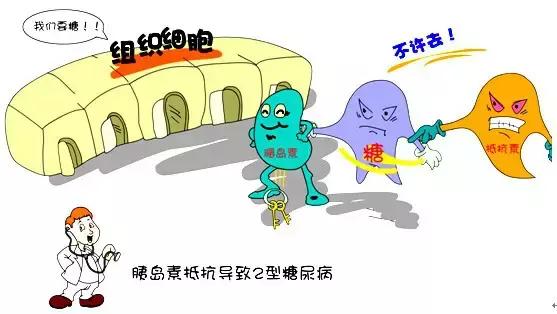 饮食拯救生命—连载之六——糖尿病（上）