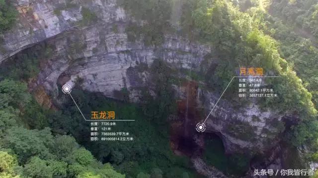 在深达数百米的天坑，大熊猫曾经到此一游