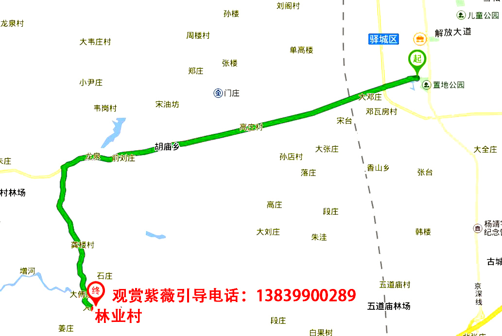 紫薇花开满庭院图片,紫薇花在盛开下一句