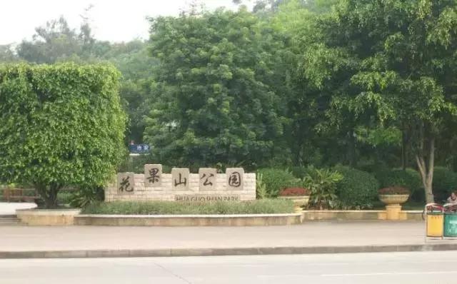 花如此多娇,花都如此多娇全文免费阅读