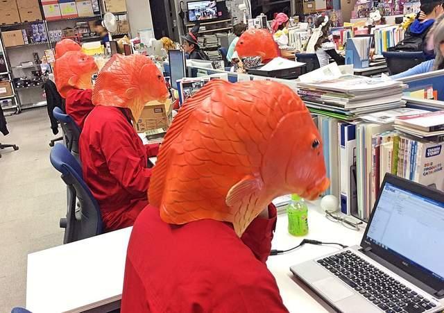 企鹅娘经典动漫,企鹅娘动漫