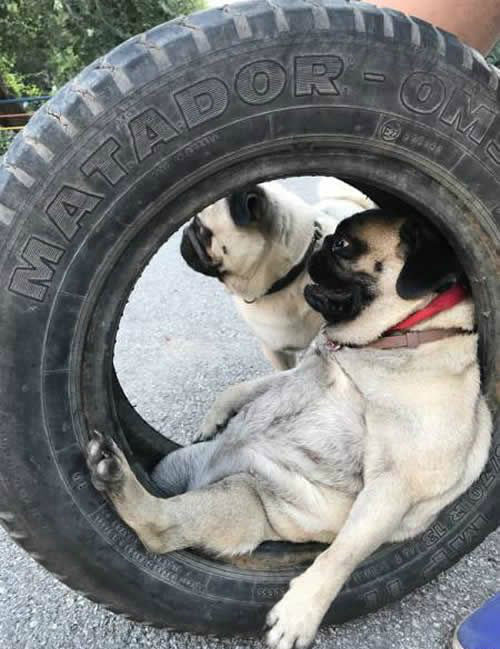 夕阳下的奔跑是我逝去的青春出处,我想起那天夕阳下的奔跑出自哪里