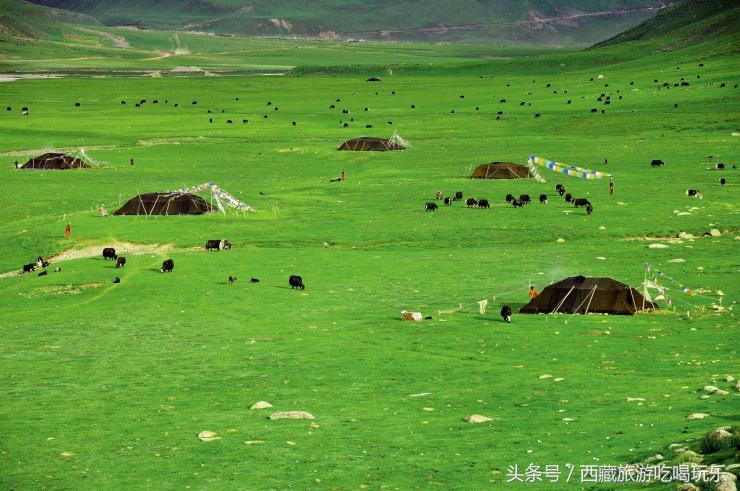 滇藏线旅游住宿攻略,藏西地区旅游攻略