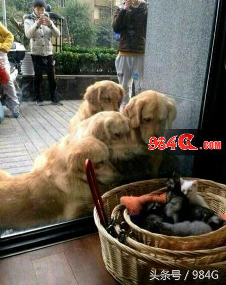 dnf游戏画质达到瓶颈,dnf为什么10几年不提升游戏画质