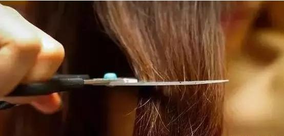 治疗脱发一般需要多少毛囊,脱发时毛囊也掉了怎么回事