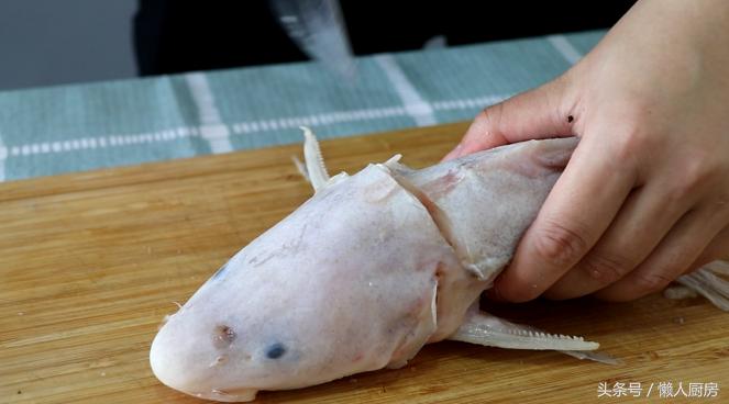 第一次见白丝鱼,第一次见到野生鱼