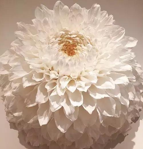 会枯萎腐烂的仿真花,会枯萎的花有什么