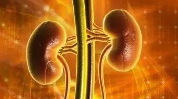 过敏性紫癜发病机制流程图,过敏性紫癜的重要病因病机中医