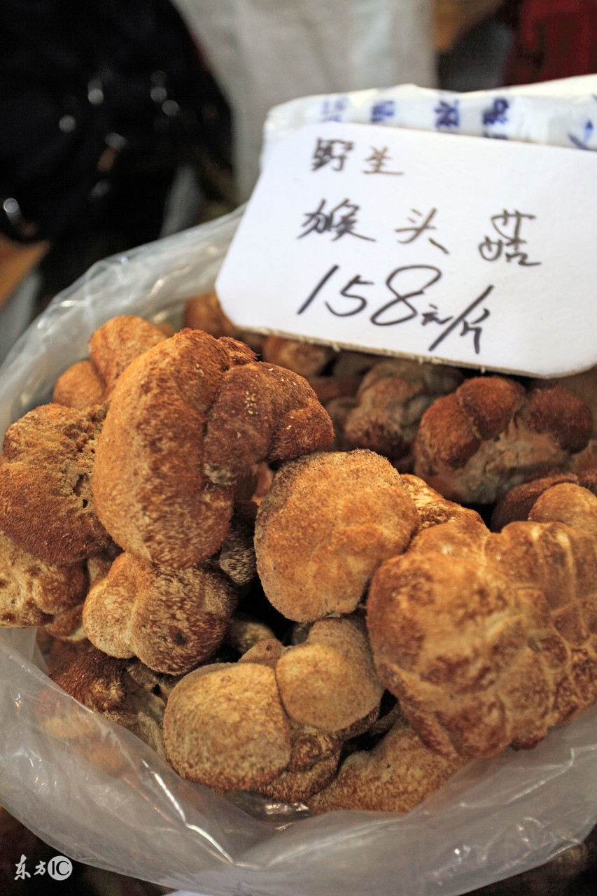 猴头菇真有那么多功效吗,猴头菇真假怎么区别