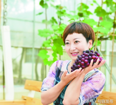 中国句容第十届丁庄葡萄节,中国江苏句容第十届丁庄葡萄节