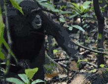 小偷是咋样偷东西的,坐火车怎么防小偷偷东西