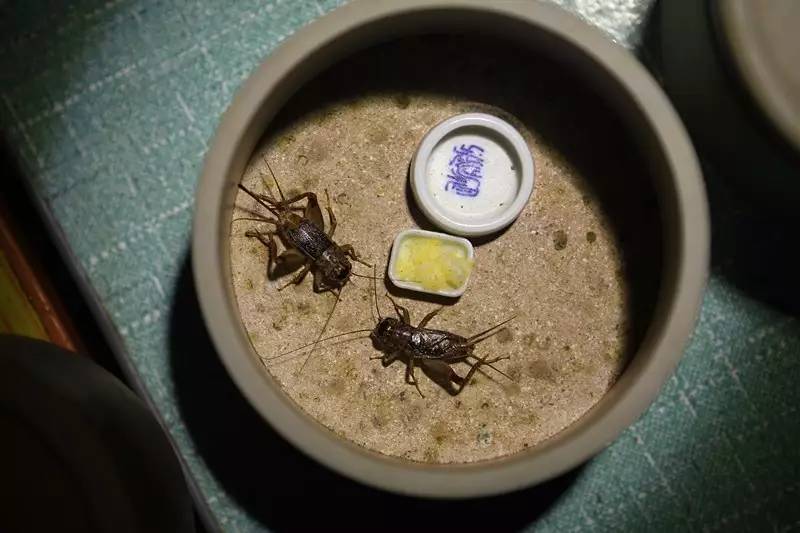 2020年河南省直机关公务员遴选,河南省直机关公开遴选201名公务员