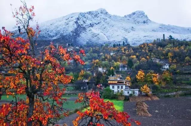 川西最美秋景,四川最美秋景