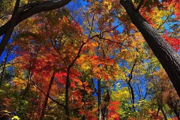 川西最美秋景,四川最美秋景